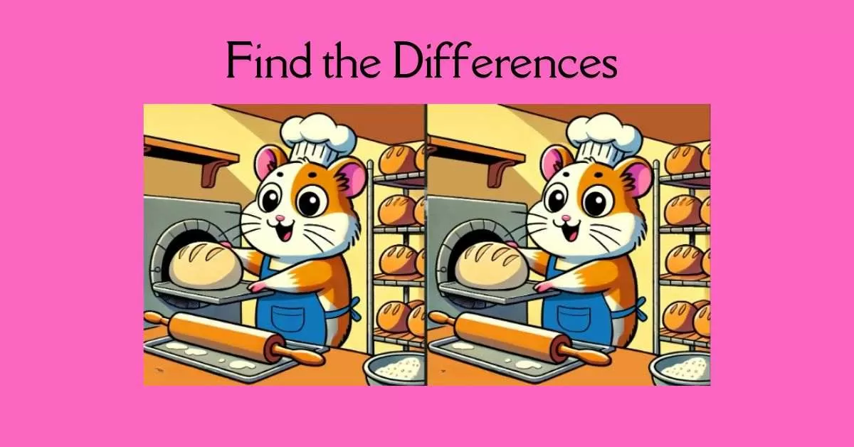 Spot the 3 Differences in Hamster Baking Bread