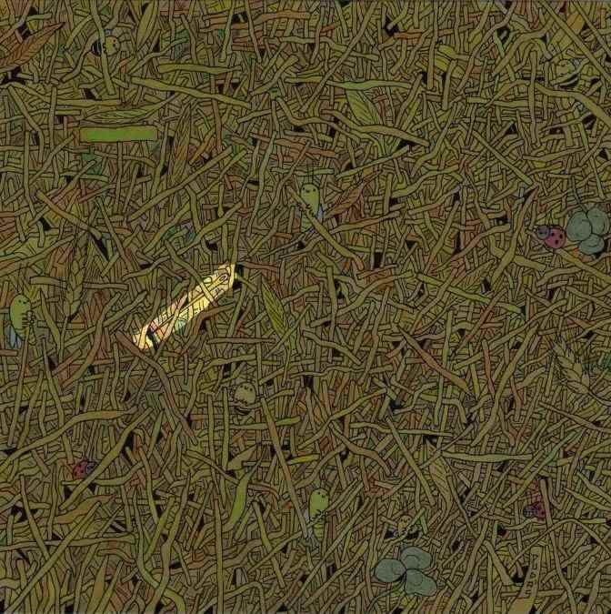 hidden optical illusions with answers