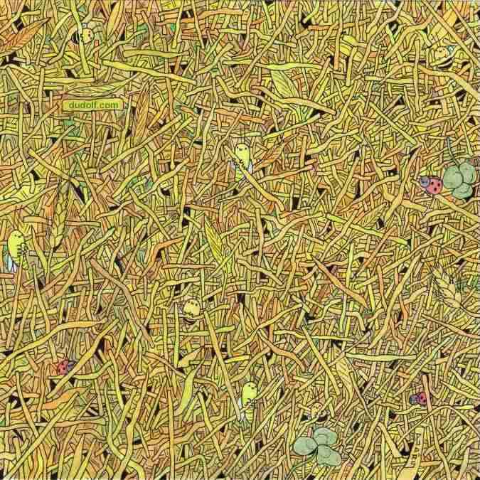 hidden optical illusions with answers