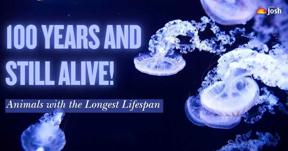 Unbelievable! Meet the Animal That Lives for Over 100 Years