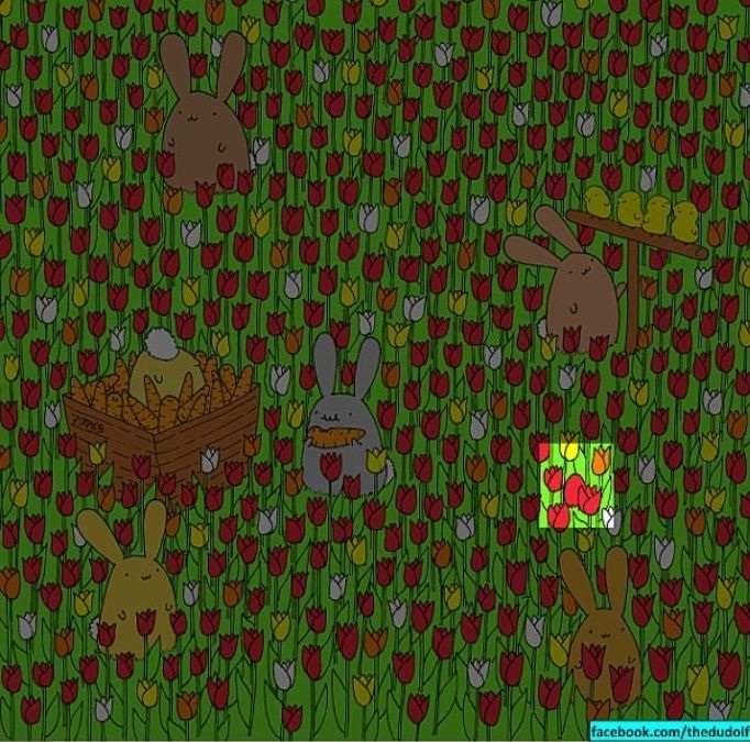 hidden picture puzzles with answers