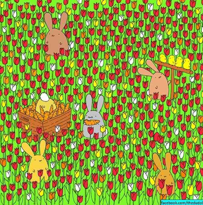 hidden picture puzzles with answers