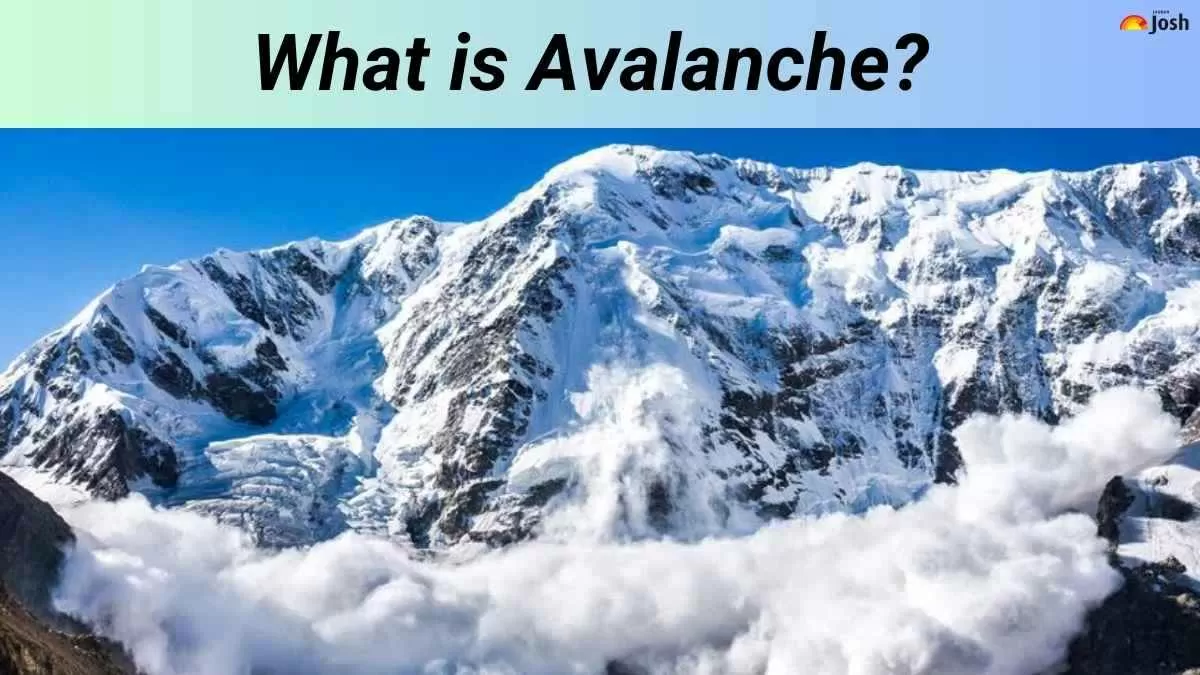 What is Avalanche? 