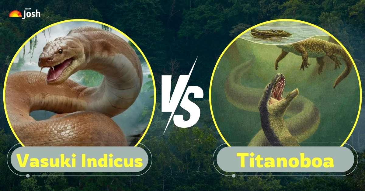 the largest snake in the world ever found