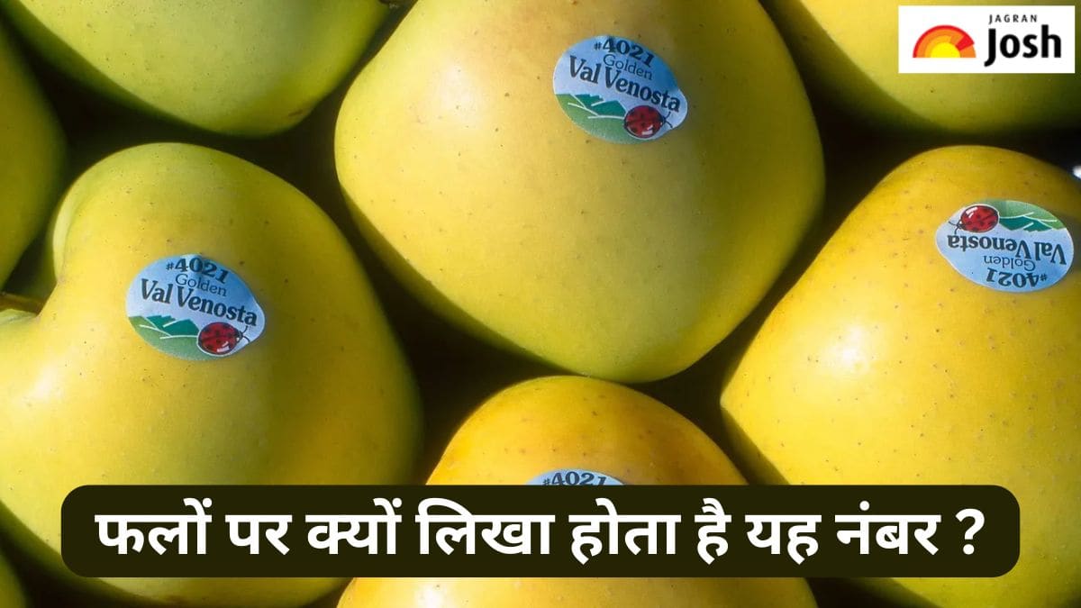 फलों पर लगे स्टीकर पर लिखे नंबर का क्या होता है मतलब, यहां जानें 