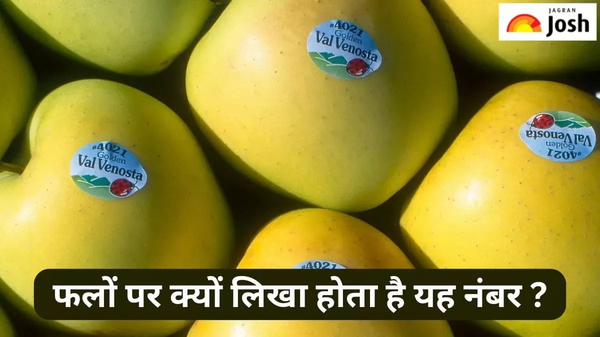 फलों पर लगे स्टीकर पर लिखे नंबर का क्या होता है मतलब