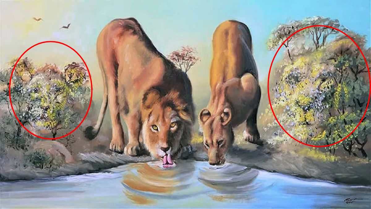 Illusion Pictures With Hidden Images With Answers Spot 2 Hidden Lions In This Jungle Scene! Only 1% Creative Minds Pass