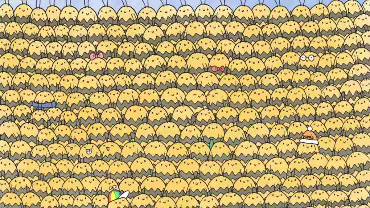 Spot The Queen Bee.