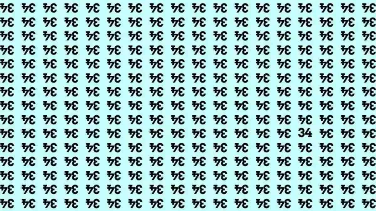 Spot the hidden number 34.
