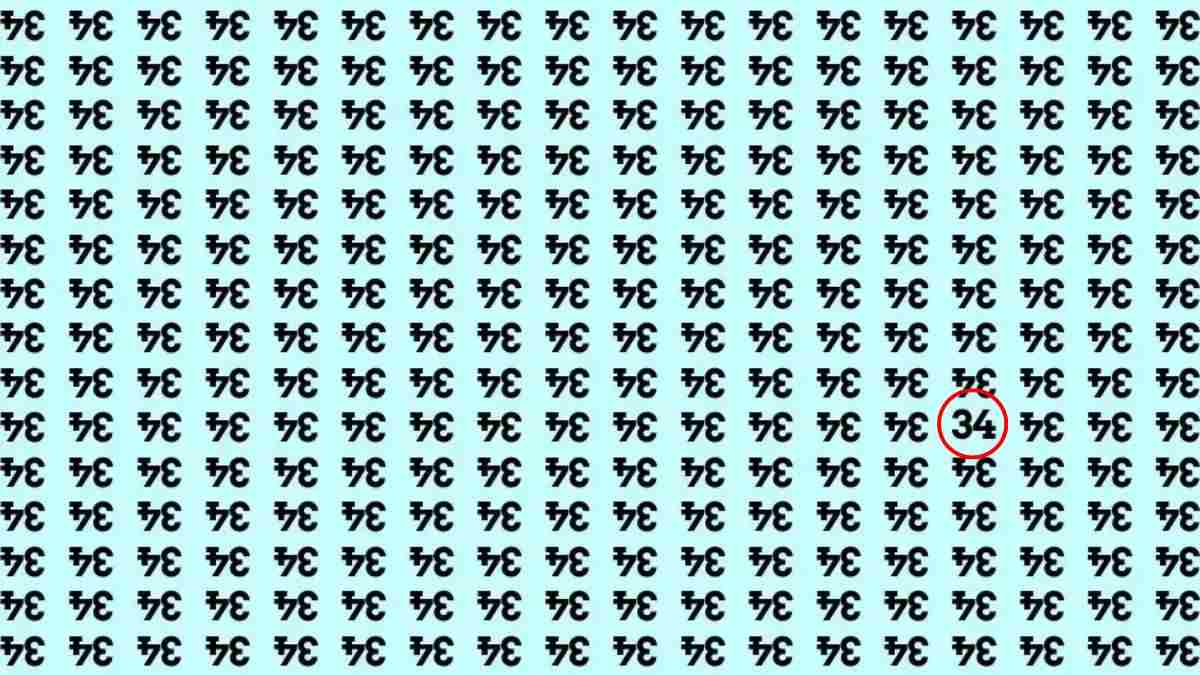 hidden optical illusions with answers