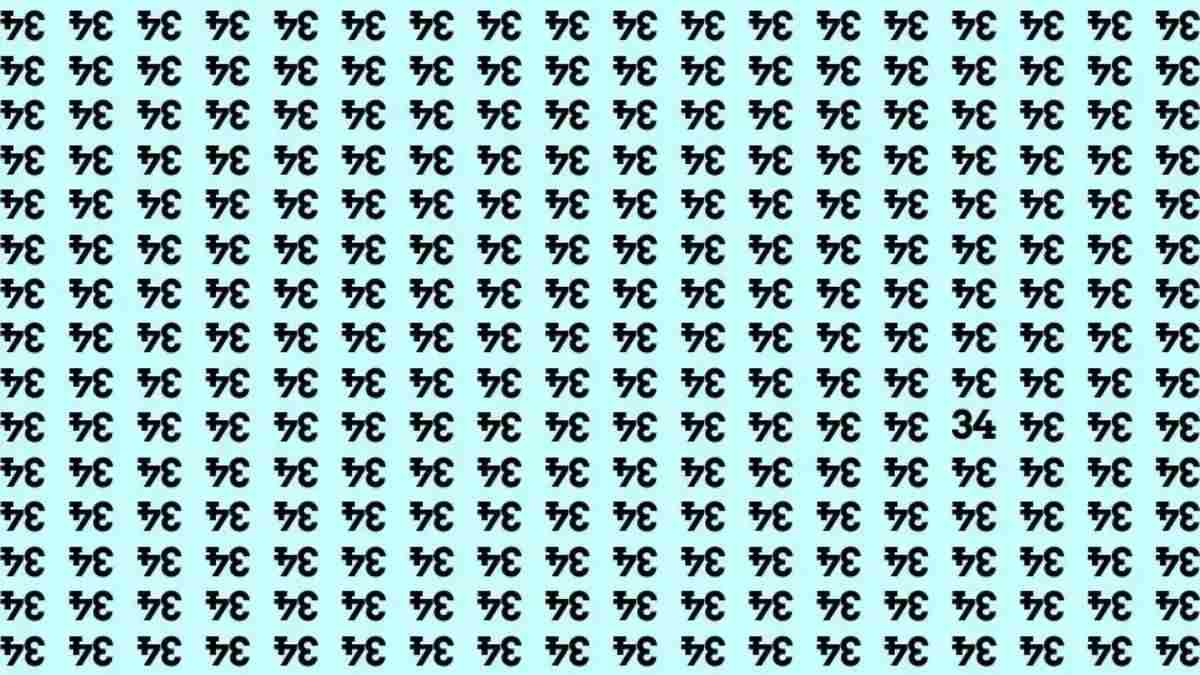 hidden optical illusions with answers