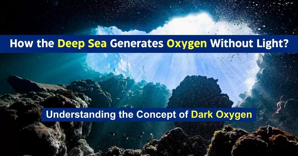 Understanding Dark Oxygen: How the Deep Sea Generates Oxygen Without Light