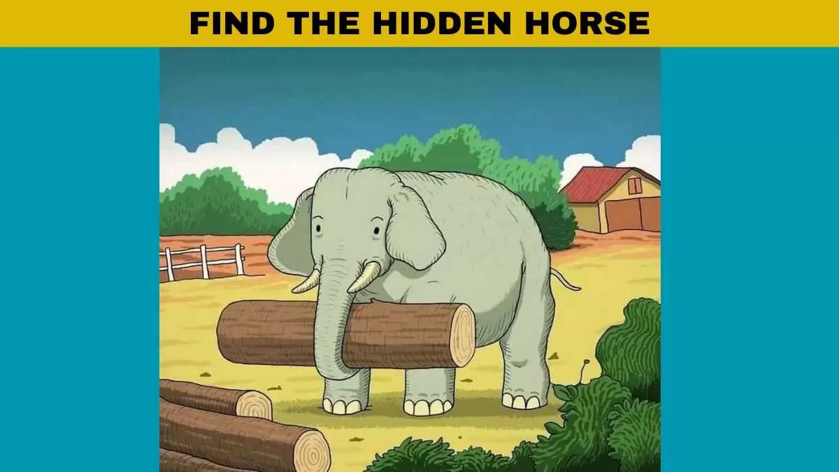 Find the hidden horse
