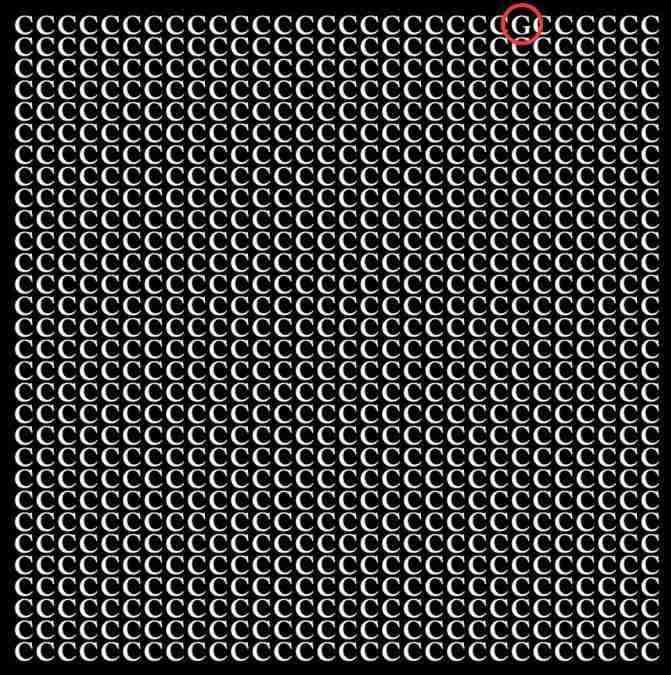 optical illusion pictures with hidden images