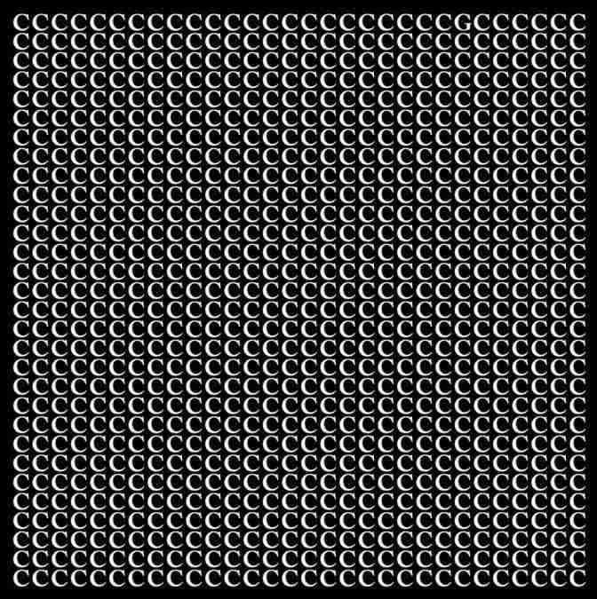 optical illusion pictures with hidden images