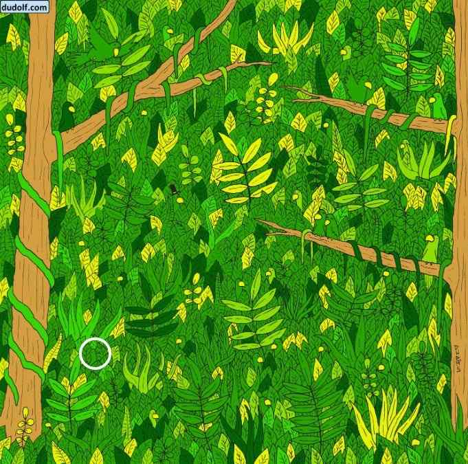 hidden picture puzzles with answers