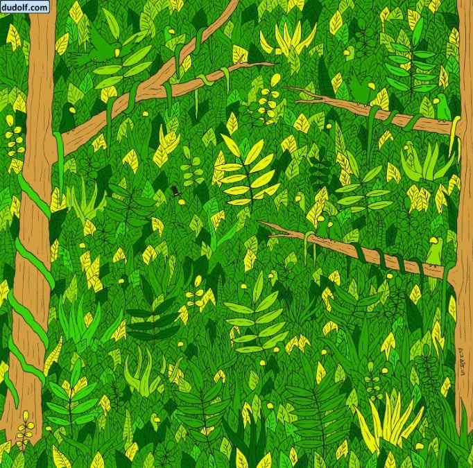 hidden picture puzzles