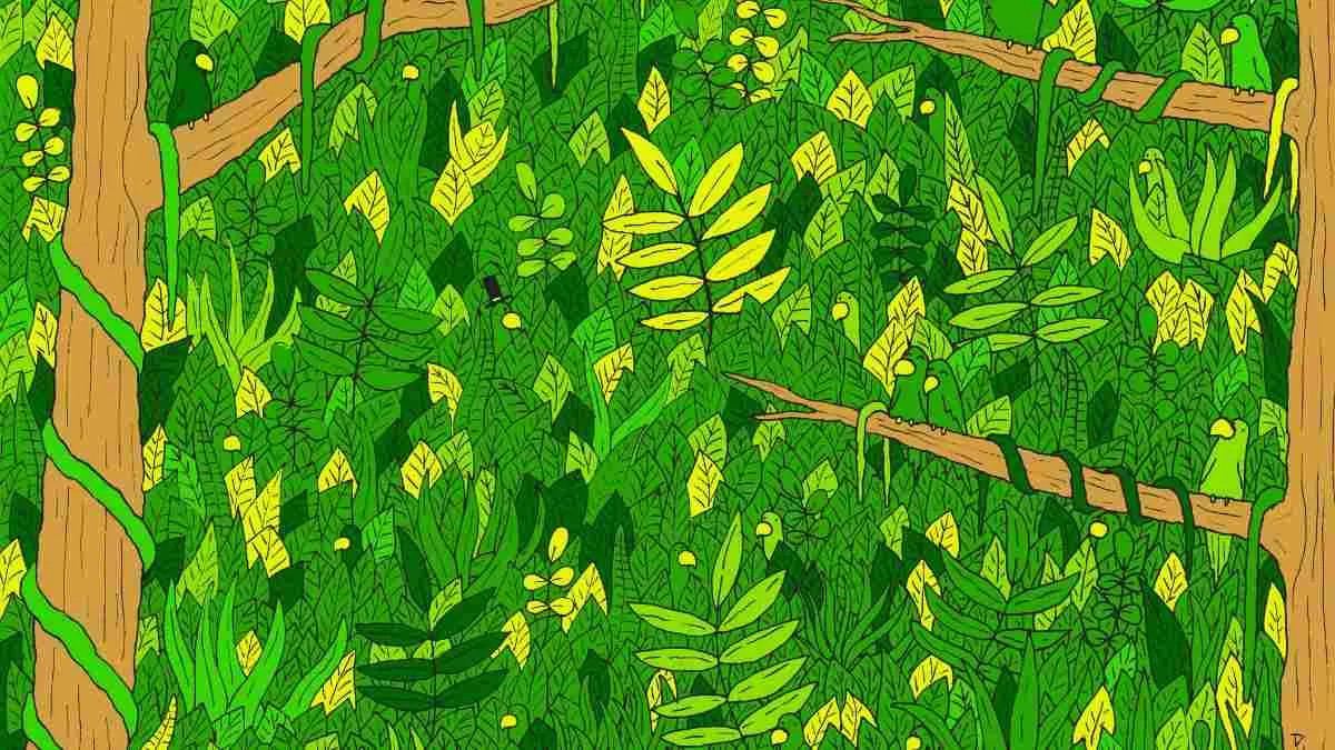 Spot The Hidden Snake.