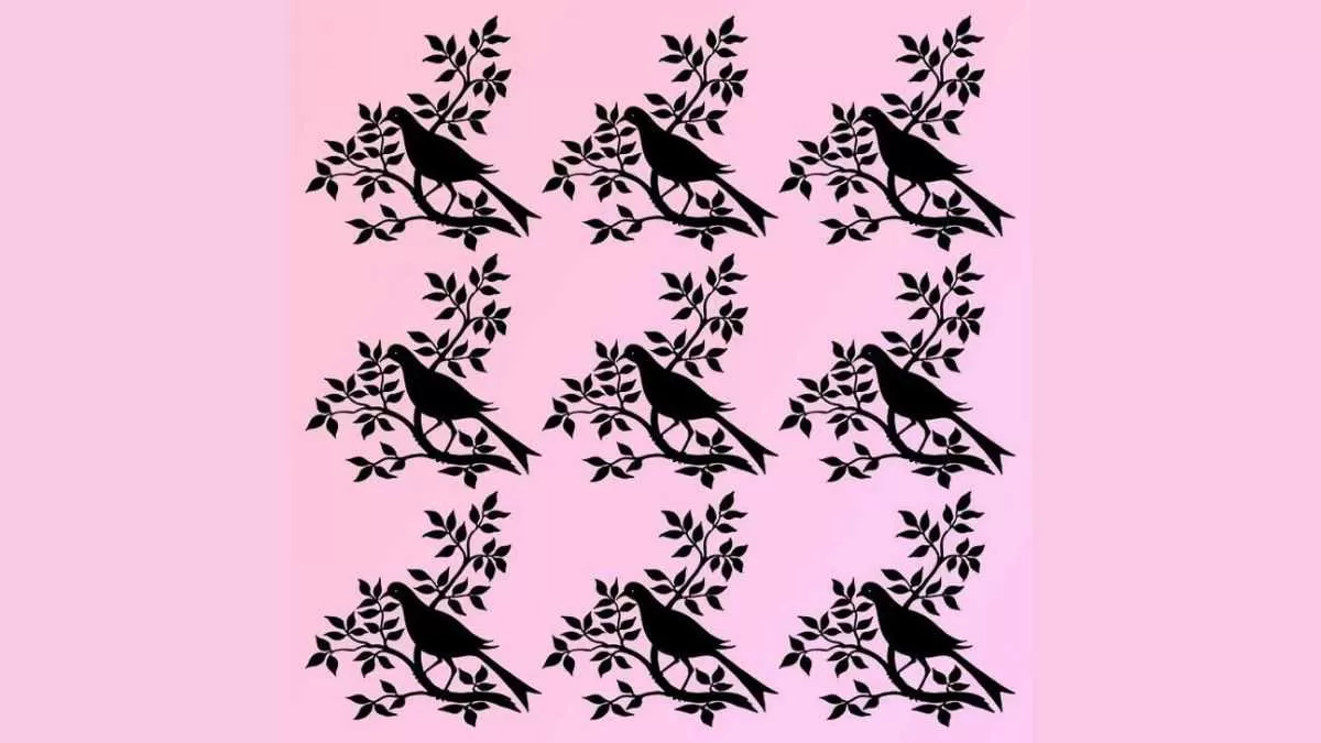 Find the different bird
