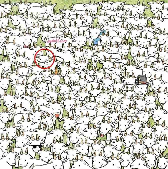 hidden picture puzzles with answers