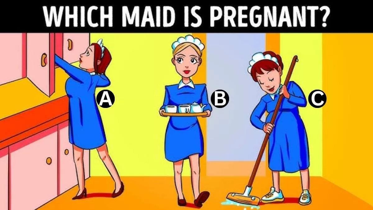 Spot The Pregnant Maid.