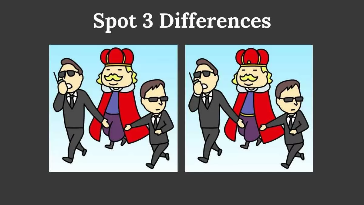 Spot 3 differences