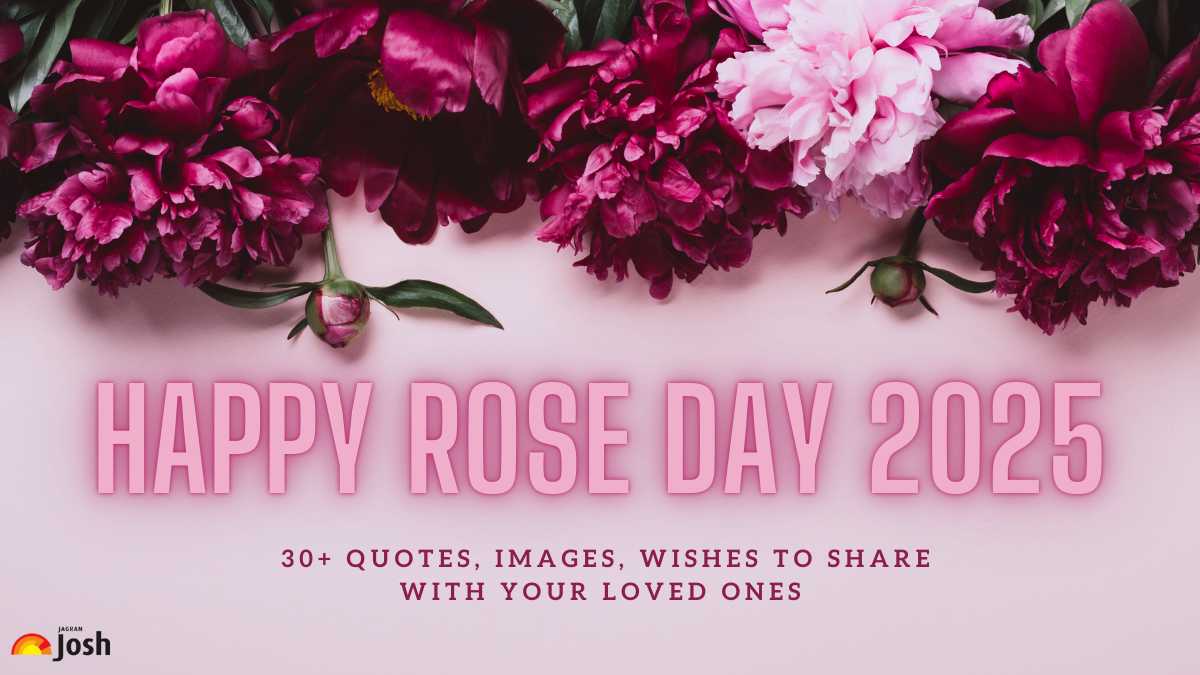 Happy Rose Day 2025: 30+ Quotes, Images, Wishes to Share with Your Loved Ones