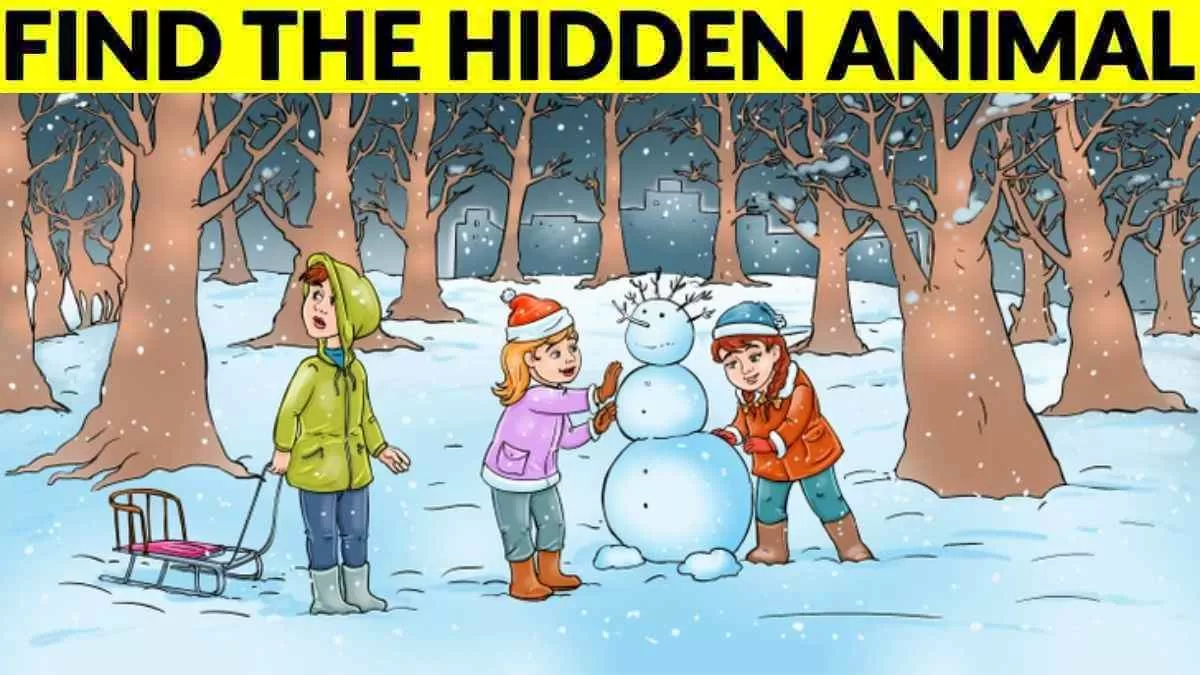 Spot the hidden deer.