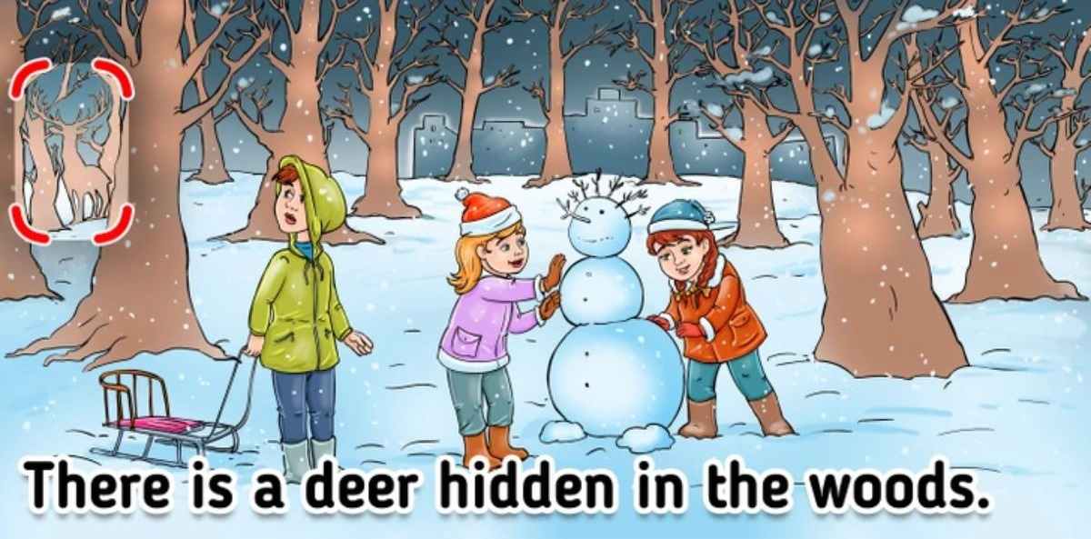 optical illusions test