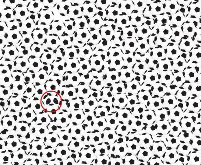 hidden picture puzzles with answers