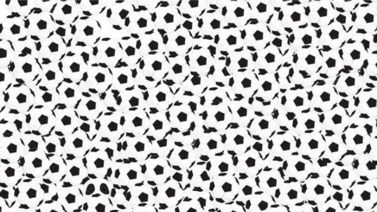 Spot The Panda.
