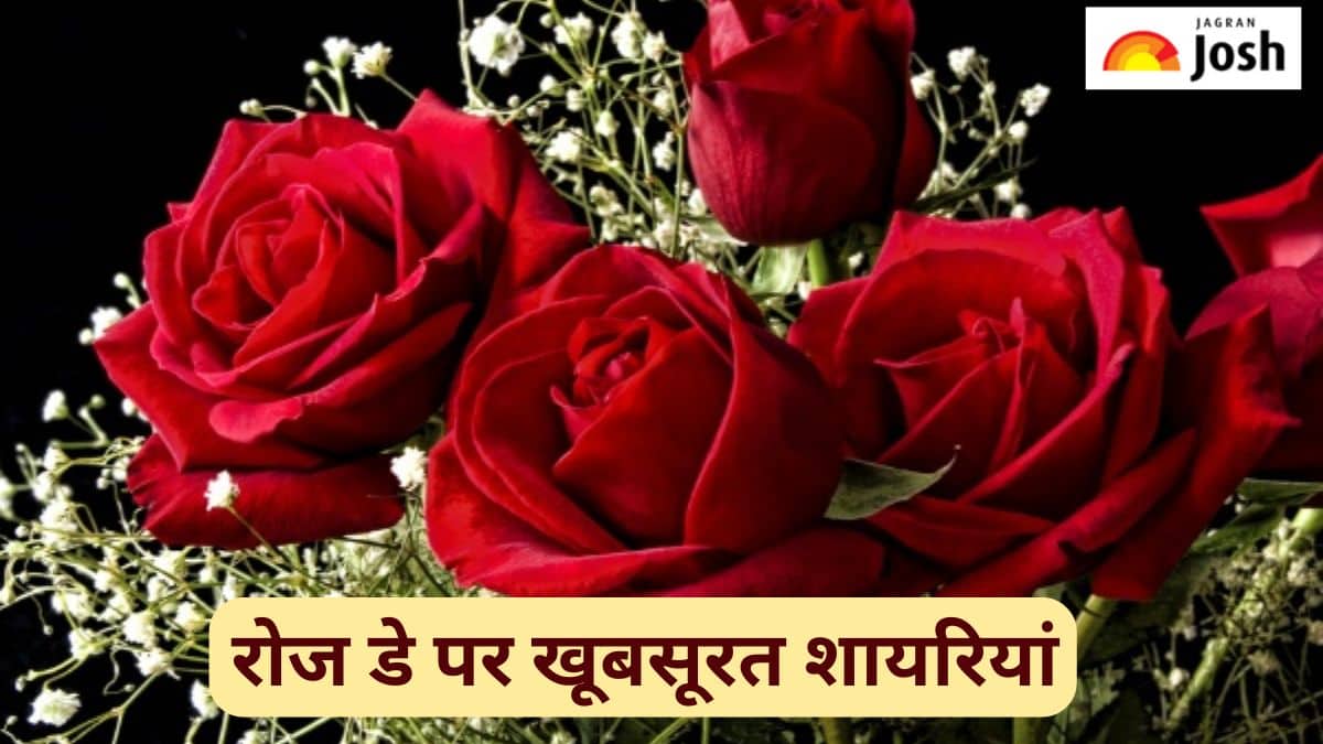 Happy Rose Day Shayari 2025: इस Rose Day अपनों को भेजें ये खूबसूरत शायरियां 