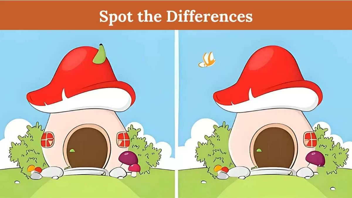 Spot 5 differences in 15 seconds
