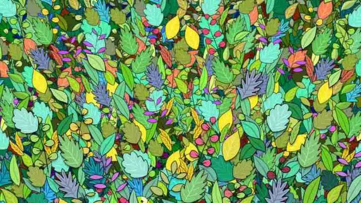 Spot the hidden parrot.