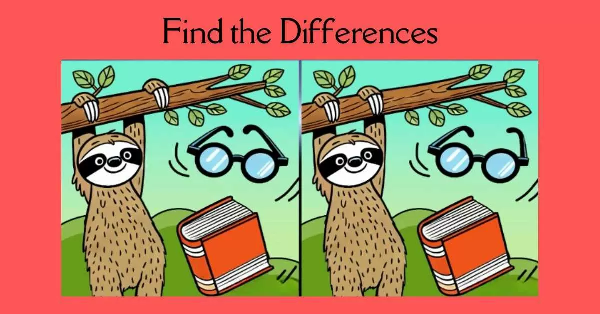 Spot the 3 Differences in Sloth Hanging From Tree