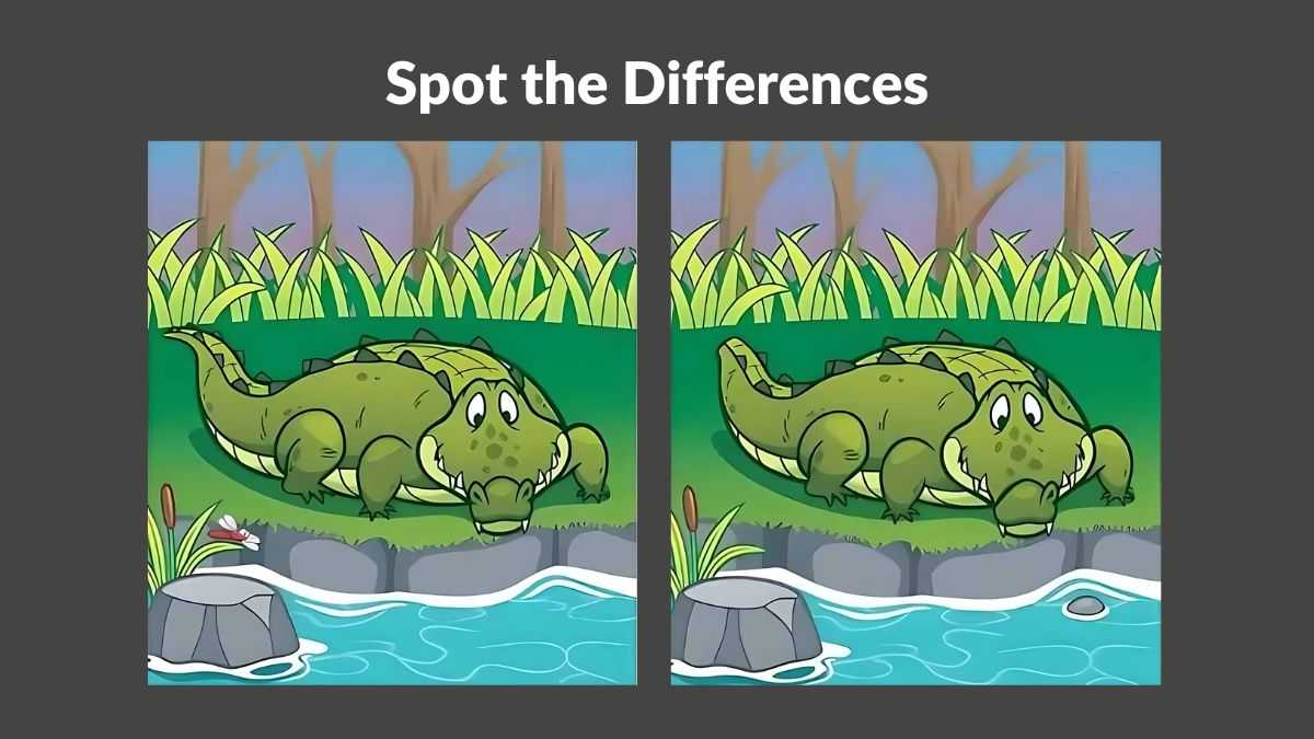 Spot 5 differences between the crocodile pictures in 17 seconds! 