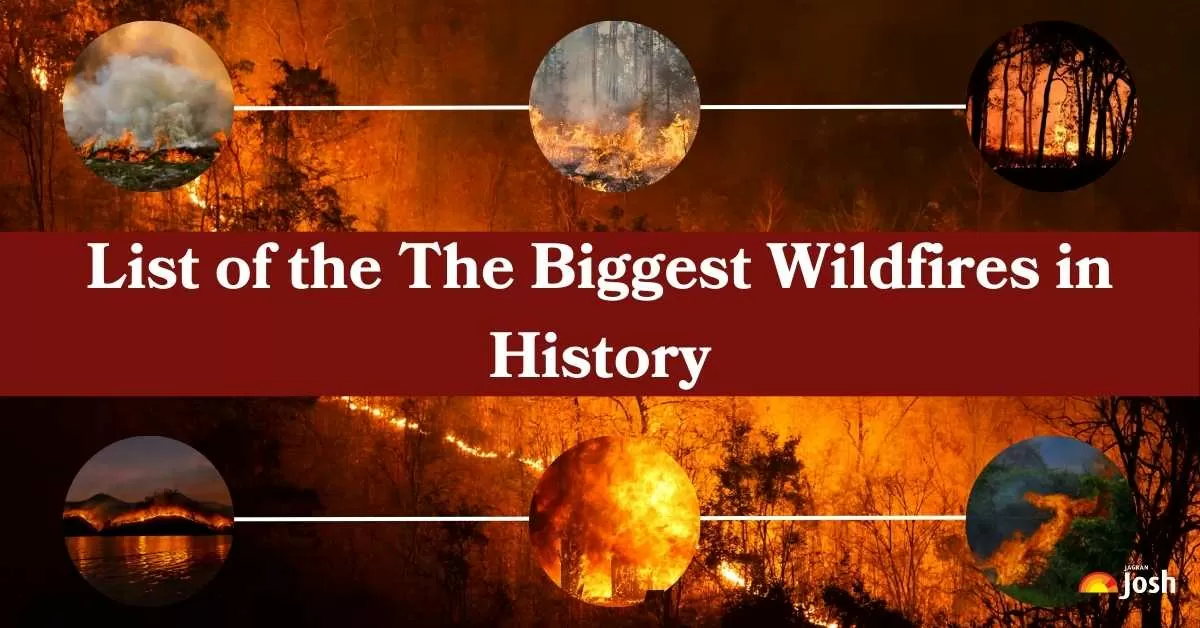 List of the The Biggest Wildfires in History