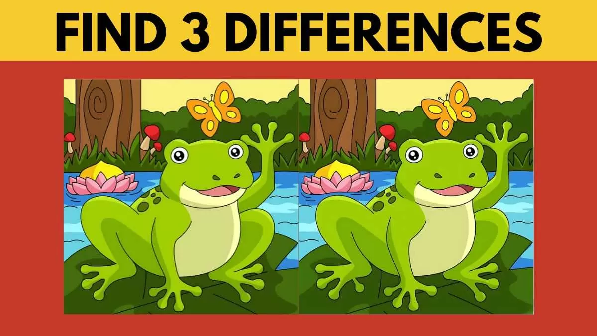 Find 3 differences