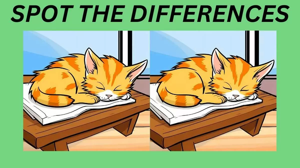 Spot the differences