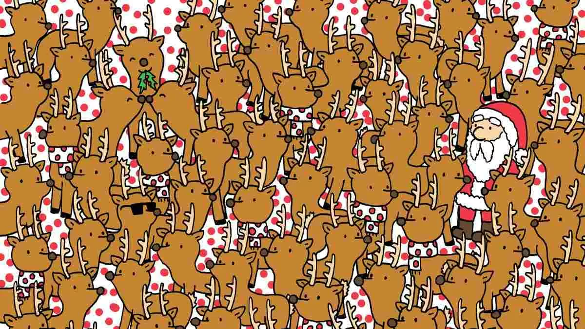 Spot the Rudolph.
