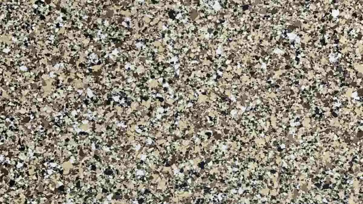 Spot the hidden dice.