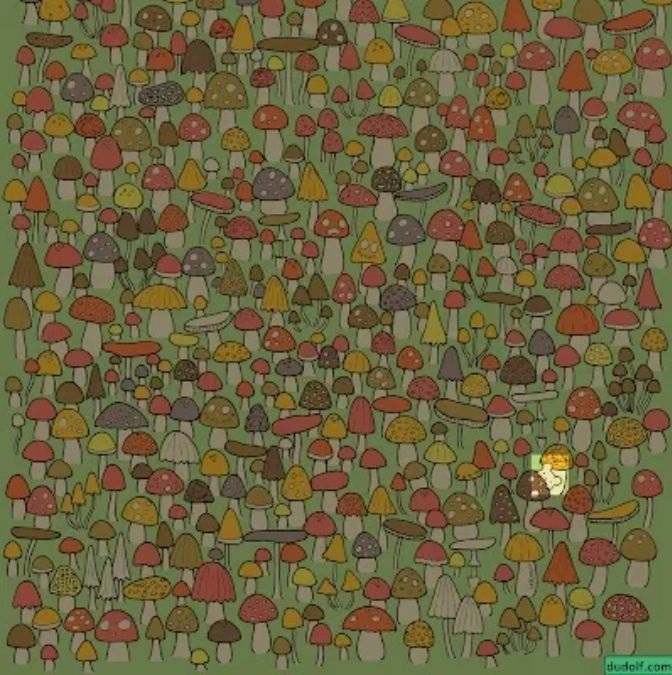 hidden picture puzzles with answers