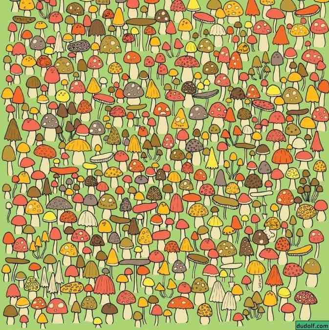 hidden picture puzzles with answers