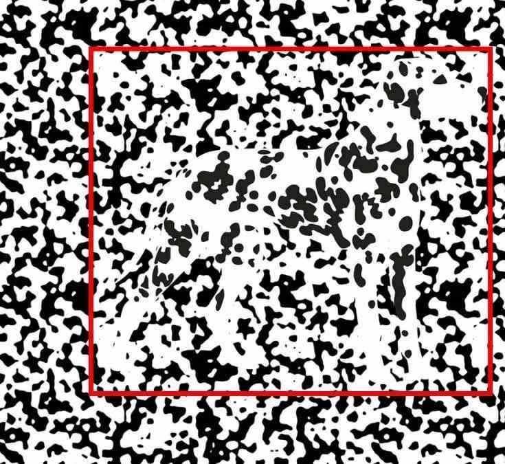 hidden optical illusions with answers