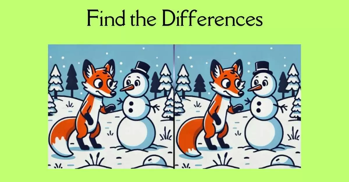 Spot the 3 Differences in Fox Playing With Snowman