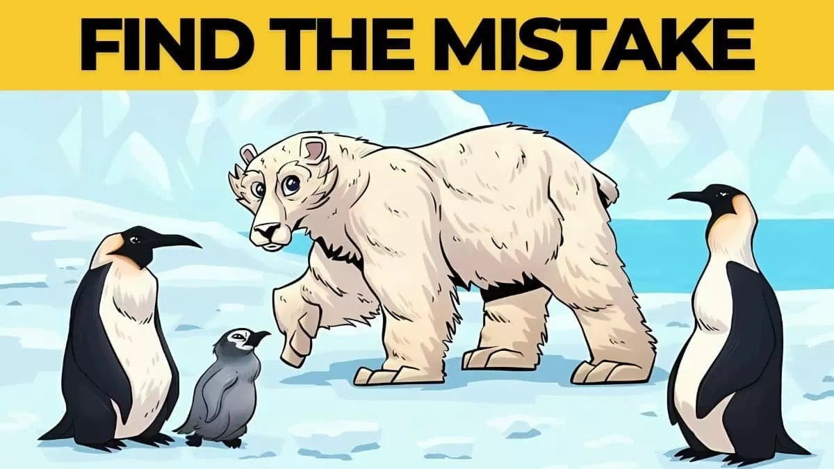 Find the mistake in 5 seconds