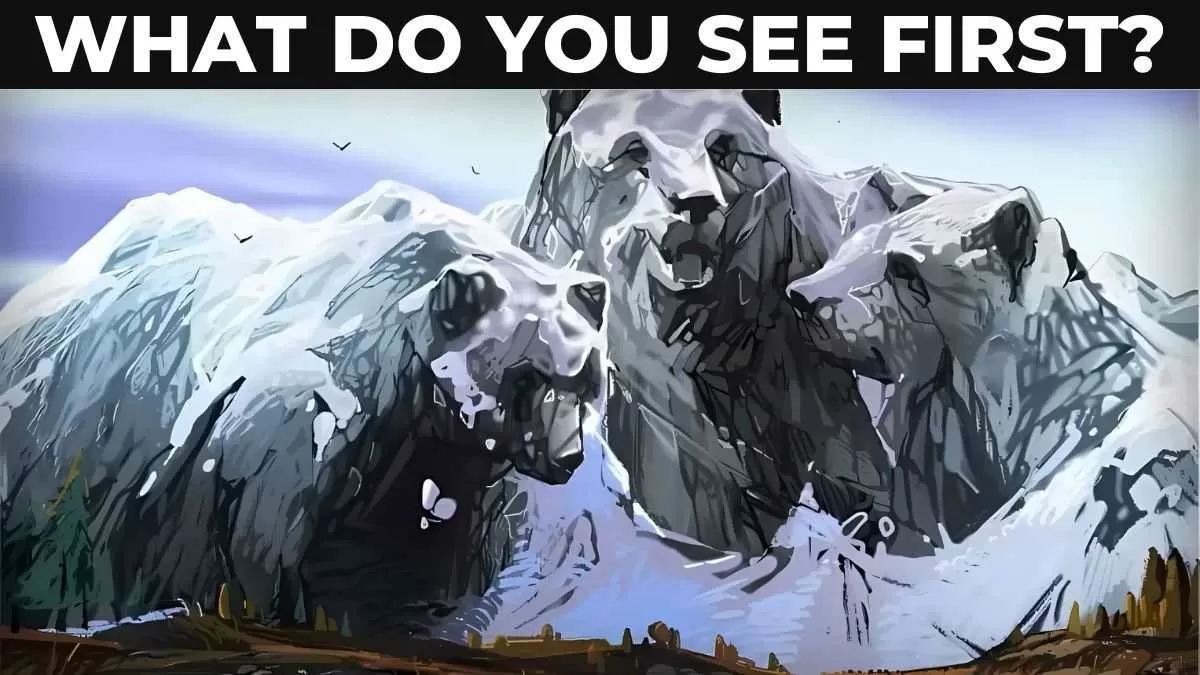 Optical Illusion Personality Test: What type of problem solver you are?