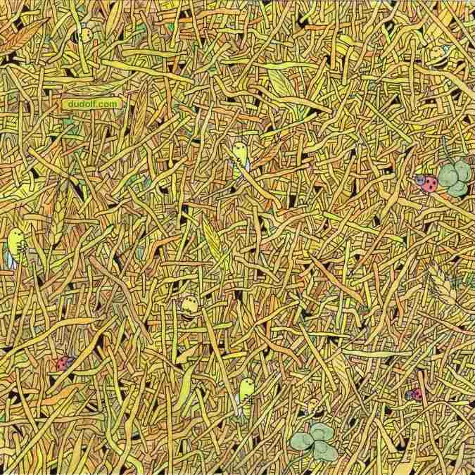 hidden optical illusions with answers