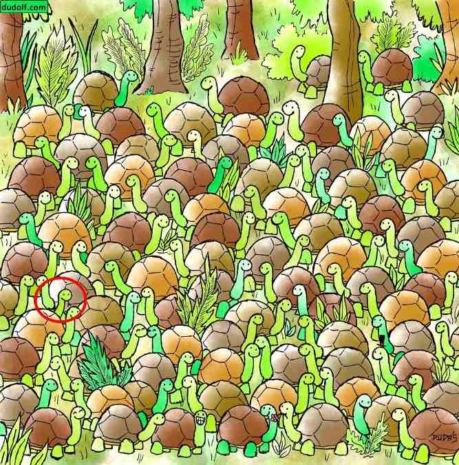 hidden picture puzzles with answers