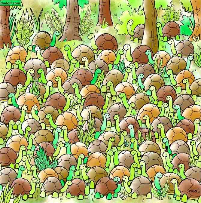 hidden picture puzzles with answers